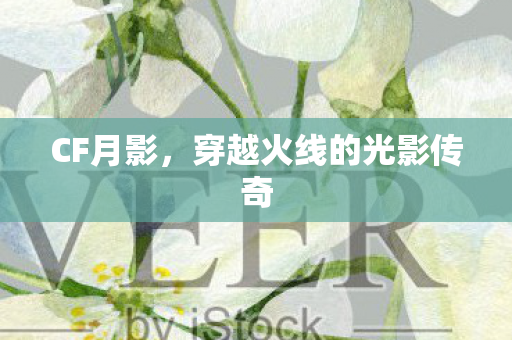 CF月影,穿越火线的光影传奇 CF月影,穿越火线的光影传奇