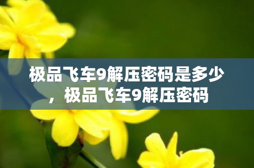 极品飞车9解压密码是多少,极品飞车9解压密码 极品飞车9解压密码是多少,极品飞车9解压密码