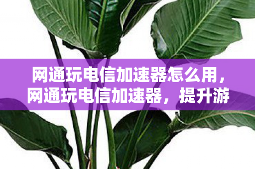 网通玩电信加速器怎么用，网通玩电信加速器，提升游戏体验的必备神器