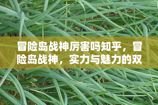 冒险岛战神厉害吗知乎，冒险岛战神，实力与魅力的双重展现
