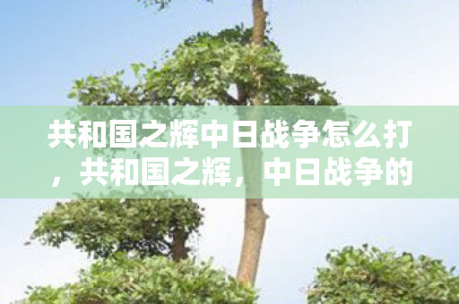 共和国之辉中日战争怎么打,共和国之辉,中日战争的历史与启示 共和国之辉中日战争怎么打,共和国之辉,中日战争的历史与启示