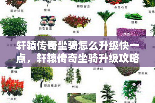 轩辕传奇坐骑怎么升级快一点,轩辕传奇坐骑升级攻略,如何快速提升坐骑等级 轩辕传奇坐骑怎么升级快一点,轩辕传奇坐骑升级攻略,如何快速提升坐骑等级