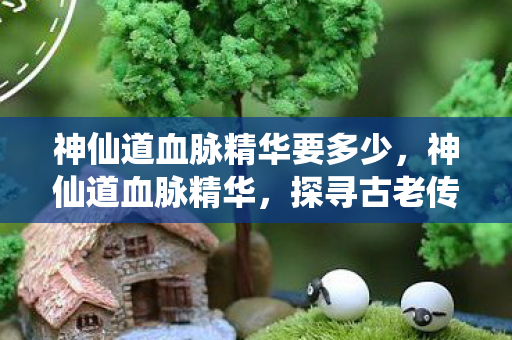 神仙道血脉精华要多少，神仙道血脉精华，探寻古老传承的神秘力量