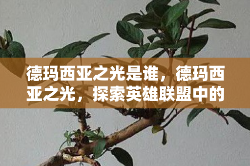 德玛西亚之光是谁,德玛西亚之光,探索英雄联盟中的正义之地 德玛西亚之光是谁,德玛西亚之光,探索英雄联盟中的正义之地