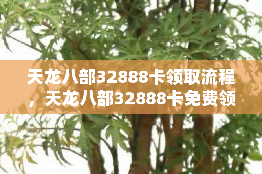 天龙八部32888卡领取流程，天龙八部32888卡免费领取攻略