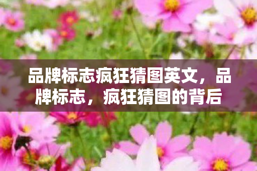 品牌标志疯狂猜图英文，品牌标志，疯狂猜图的背后