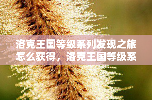 洛克王国等级系列发现之旅怎么获得,洛克王国等级系列发现之旅 洛克王国等级系列发现之旅怎么获得,洛克王国等级系列发现之旅