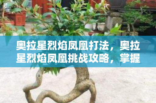 奥拉星烈焰凤凰打法,奥拉星烈焰凤凰挑战攻略,掌握技巧,轻松击败火焰之王 奥拉星烈焰凤凰打法,奥拉星烈焰凤凰挑战攻略,掌握技巧,轻松击败火焰之王