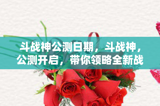 斗战神公测日期，斗战神，公测开启，带你领略全新战斗体验