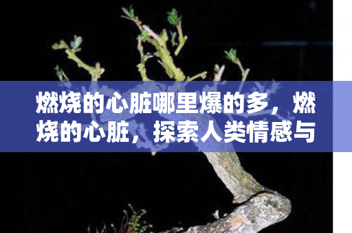 燃烧的心脏哪里爆的多,燃烧的心脏,探索人类情感与生命力的奥秘 燃烧的心脏哪里爆的多,燃烧的心脏,探索人类情感与生命力的奥秘