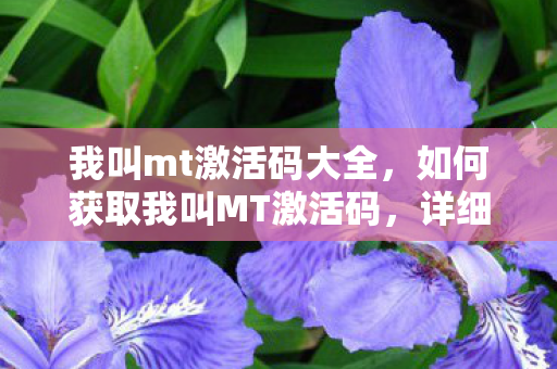 我叫mt激活码大全，如何获取我叫MT激活码，详细步骤与注意事项