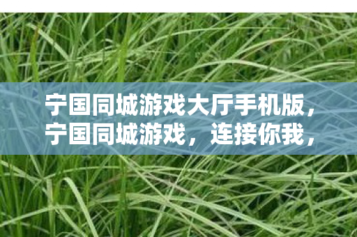 宁国同城游戏大厅手机版，宁国同城游戏，连接你我，共享欢乐