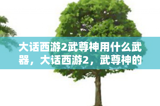 大话西游2武尊神用什么武器,大话西游2,武尊神的无尽传奇 大话西游2武尊神用什么武器,大话西游2,武尊神的无尽传奇