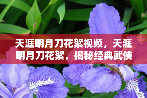 天涯明月刀花絮视频,天涯明月刀花絮,揭秘经典武侠剧的幕后故事 天涯明月刀花絮视频,天涯明月刀花絮,揭秘经典武侠剧的幕后故事
