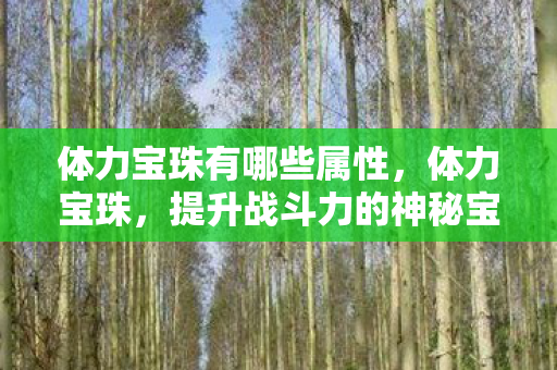 体力宝珠有哪些属性,体力宝珠,提升战斗力的神秘宝物 体力宝珠有哪些属性,体力宝珠,提升战斗力的神秘宝物
