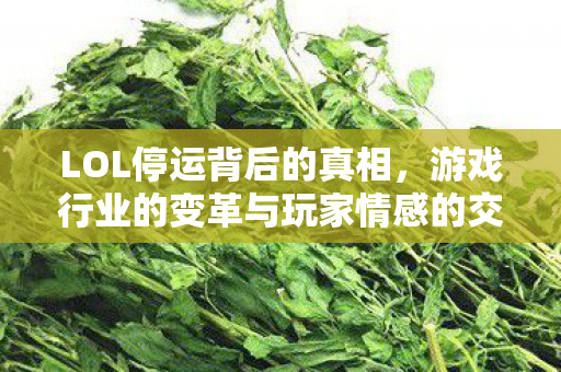 LOL停运背后的真相,游戏行业的变革与玩家情感的交织 LOL停运背后的真相,游戏行业的变革与玩家情感的交织