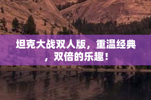 坦克大战双人版,重温经典,双倍的乐趣! 坦克大战双人版,重温经典,双倍的乐趣!
