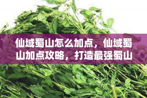 仙域蜀山怎么加点，仙域蜀山加点攻略，打造最强蜀山剑侠