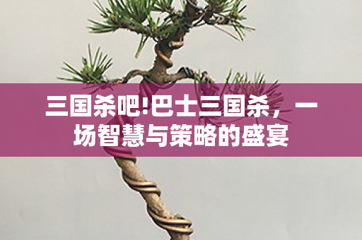 三国杀吧!巴士三国杀,一场智慧与策略的盛宴 三国杀吧!巴士三国杀,一场智慧与策略的盛宴