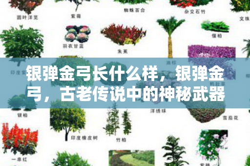 银弹金弓长什么样,银弹金弓,古老传说中的神秘武器 银弹金弓长什么样,银弹金弓,古老传说中的神秘武器