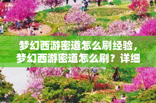 梦幻西游密道怎么刷经验,梦幻西游密道怎么刷?详细攻略助你轻松获取丰厚奖励 梦幻西游密道怎么刷经验,梦幻西游密道怎么刷?详细攻略助你轻松获取丰厚奖励