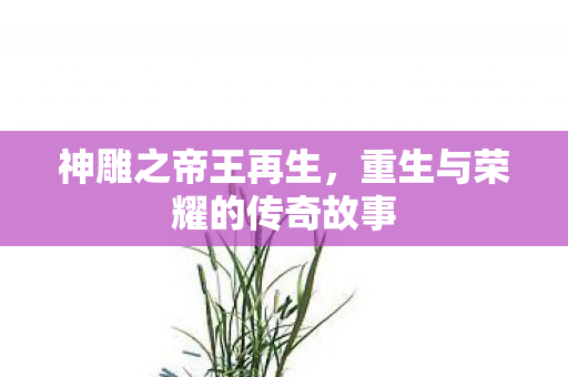 神雕之帝王再生,重生与荣耀的传奇故事 神雕之帝王再生,重生与荣耀的传奇故事