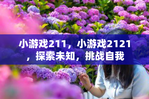 小游戏211,小游戏2121,探索未知,挑战自我 小游戏211,小游戏2121,探索未知,挑战自我