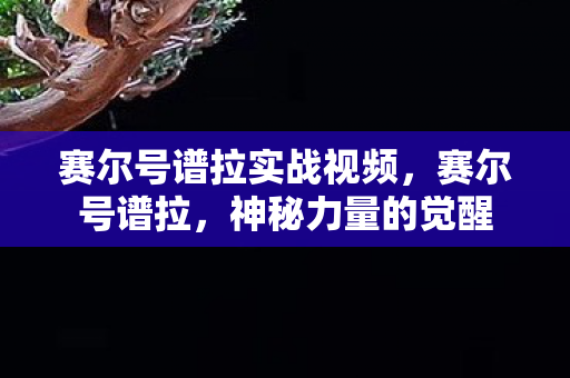赛尔号谱拉实战视频，赛尔号谱拉，神秘力量的觉醒