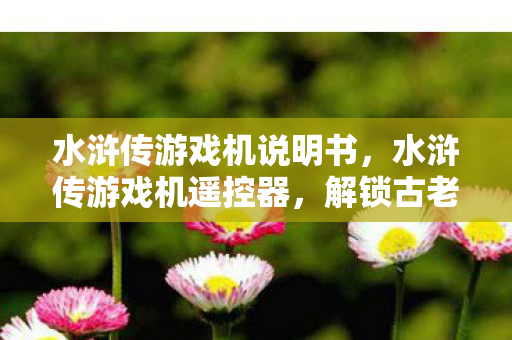 水浒传游戏机说明书，水浒传游戏机遥控器，解锁古老游戏的神秘钥匙