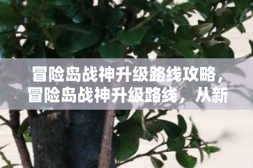 冒险岛战神升级路线攻略，冒险岛战神升级路线，从新手到传奇的蜕变