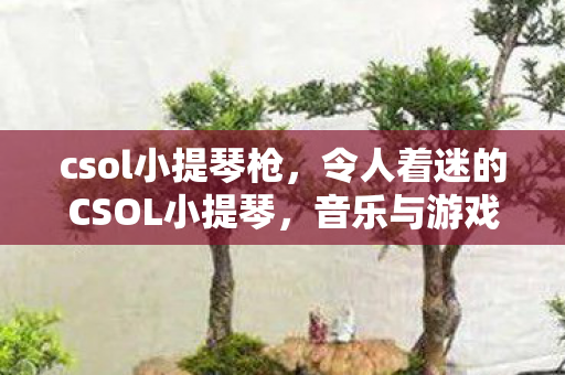 csol小提琴枪,令人着迷的CSOL小提琴,音乐与游戏的完美结合 csol小提琴枪,令人着迷的CSOL小提琴,音乐与游戏的完美结合
