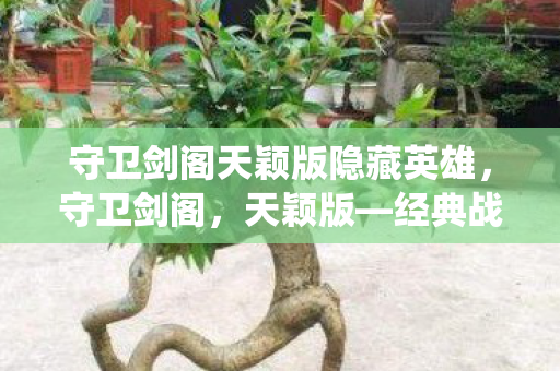 守卫剑阁天颖版隐藏英雄，守卫剑阁，天颖版—经典战役的再现与传承