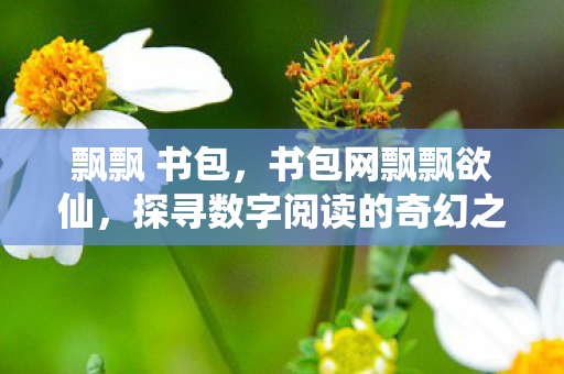 飘飘 书包,书包网飘飘欲仙,探寻数字阅读的奇幻之旅 飘飘 书包,书包网飘飘欲仙,探寻数字阅读的奇幻之旅