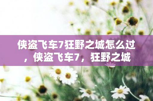侠盗飞车7狂野之城怎么过,侠盗飞车7,狂野之城 侠盗飞车7狂野之城怎么过,侠盗飞车7,狂野之城