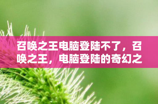 召唤之王电脑登陆不了，召唤之王，电脑登陆的奇幻之旅