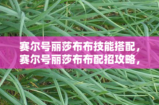 赛尔号丽莎布布技能搭配,赛尔号丽莎布布配招攻略,打造最强草系精灵 赛尔号丽莎布布技能搭配,赛尔号丽莎布布配招攻略,打造最强草系精灵