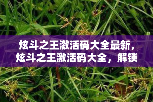 炫斗之王激活码大全最新,炫斗之王激活码大全,解锁你的游戏之旅 炫斗之王激活码大全最新,炫斗之王激活码大全,解锁你的游戏之旅