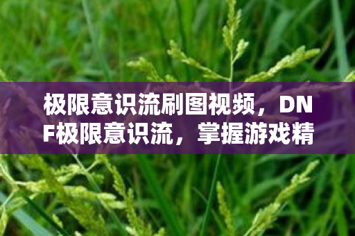 极限意识流刷图视频,DNF极限意识流,掌握游戏精髓,提升战斗效率 极限意识流刷图视频,DNF极限意识流,掌握游戏精髓,提升战斗效率