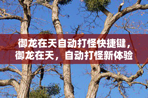 御龙在天自动打怪快捷键,御龙在天,自动打怪新体验 御龙在天自动打怪快捷键,御龙在天,自动打怪新体验