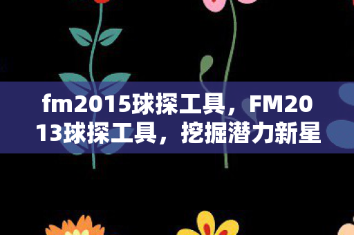 fm2015球探工具,FM2013球探工具,挖掘潜力新星,打造梦幻阵容 fm2015球探工具,FM2013球探工具,挖掘潜力新星,打造梦幻阵容