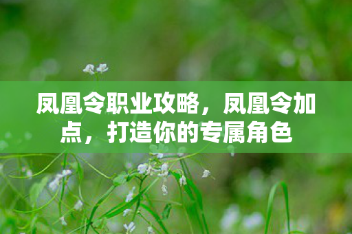 凤凰令职业攻略,凤凰令加点,打造你的专属角色 凤凰令职业攻略,凤凰令加点,打造你的专属角色
