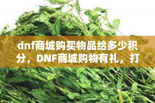dnf商城购买物品给多少积分,DNF商城购物有礼,打造你的专属游戏天堂 dnf商城购买物品给多少积分,DNF商城购物有礼,打造你的专属游戏天堂