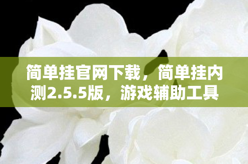 简单挂官网下载,简单挂内测2.5.5版,游戏辅助工具的新飞跃 简单挂官网下载,简单挂内测2.5.5版,游戏辅助工具的新飞跃