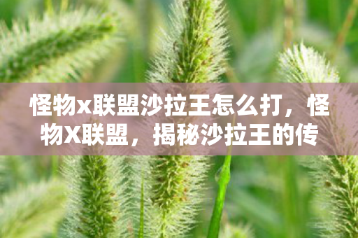 怪物x联盟沙拉王怎么打，怪物X联盟，揭秘沙拉王的传奇之路