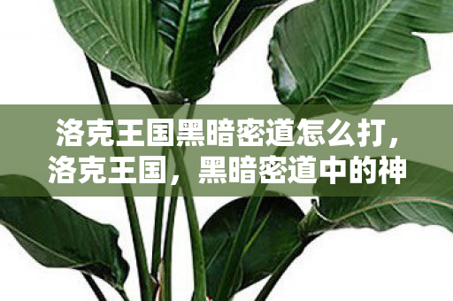 洛克王国黑暗密道怎么打,洛克王国,黑暗密道中的神秘传说 洛克王国黑暗密道怎么打,洛克王国,黑暗密道中的神秘传说