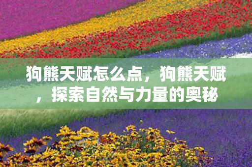狗熊天赋怎么点,狗熊天赋,探索自然与力量的奥秘 狗熊天赋怎么点,狗熊天赋,探索自然与力量的奥秘