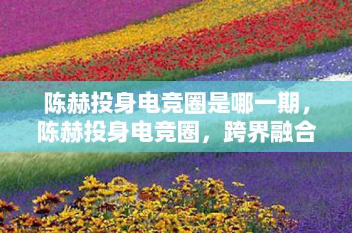 陈赫投身电竞圈是哪一期，陈赫投身电竞圈，跨界融合，开启全新娱乐时代