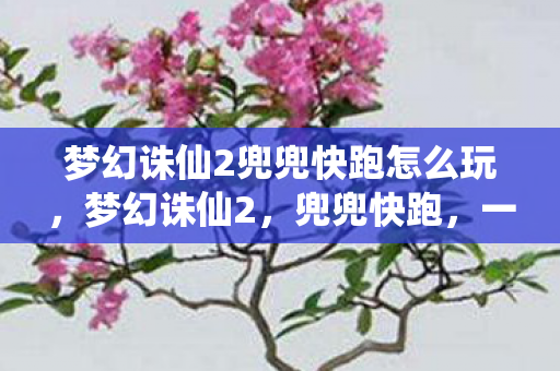梦幻诛仙2兜兜快跑怎么玩,梦幻诛仙2,兜兜快跑,一场关于冒险与友情的奇妙旅程 梦幻诛仙2兜兜快跑怎么玩,梦幻诛仙2,兜兜快跑,一场关于冒险与友情的奇妙旅程