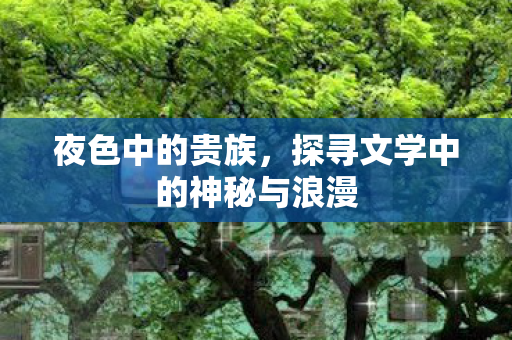 夜色中的贵族,探寻文学中的神秘与浪漫 夜色中的贵族,探寻文学中的神秘与浪漫