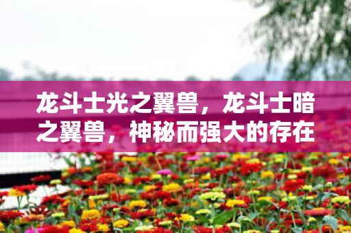 龙斗士光之翼兽,龙斗士暗之翼兽,神秘而强大的存在 龙斗士光之翼兽,龙斗士暗之翼兽,神秘而强大的存在